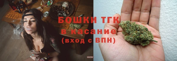винт Абаза