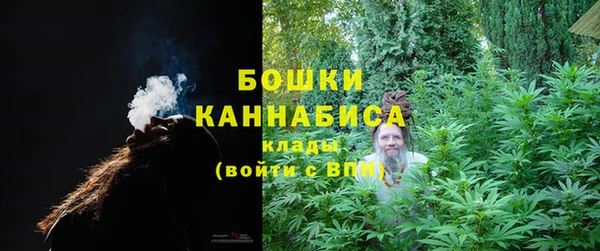 ECSTASY Сафоново