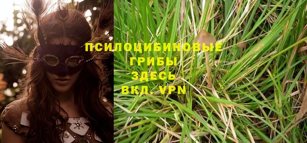 ГАЛЛЮЦИНОГЕННЫЕ ГРИБЫ Саяногорск