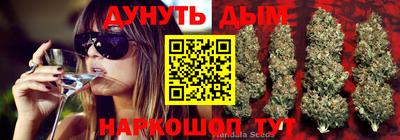 ГАЛЛЮЦИНОГЕННЫЕ ГРИБЫ Кандалакша