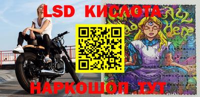ешки Камышлов