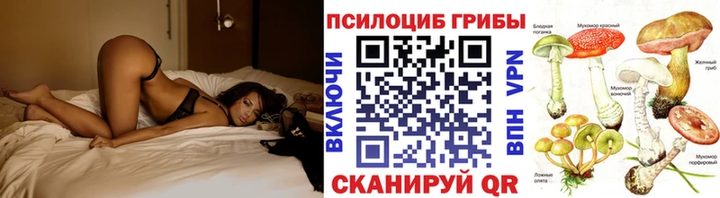 Галлюциногенные грибы прущие грибы  Лесозаводск 