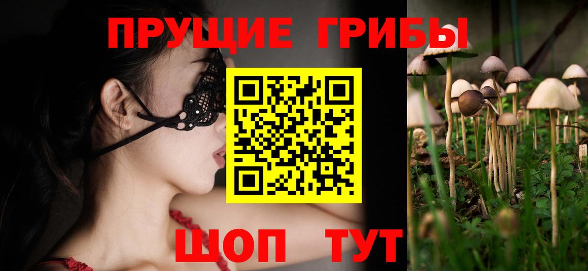 Лесозаводск  Псилоцибиновые грибы мицелий  Галлюциногенные грибы Magic Shrooms  цены наркотик  Вход с VPN 